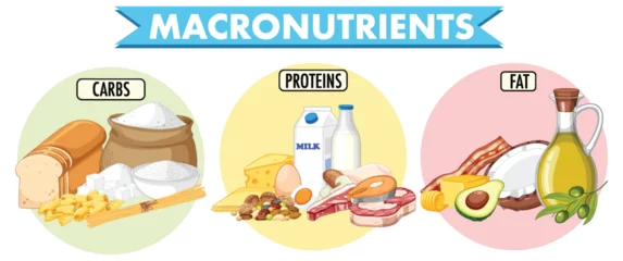 Acrylic prints Kids Main food groups macronutrients vector
