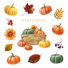 Hand drawn pumpkin with autumn leaves set. Watercolor painted illustration. Farm organic autumn harvest vegetables in a wooden box. Ripe orange, green, yellow pumpkins elements. White background