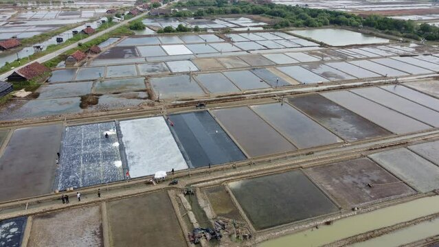 Panning Aerial drone view of the vast expanse of salt ponds at seaside area in Jepara, Central Java, Indonesia.