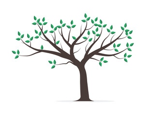 Tree with green leaves vector illustration
