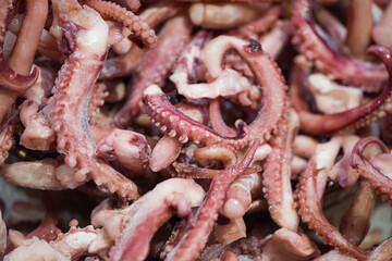 food background of raw squid tentacles for cooking