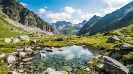 Fototapeta na wymiar Panoramic view of a mountain lake in the Tatra Mountains