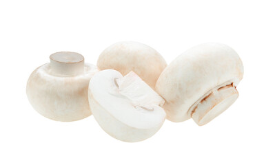 Mushroom champignon isolated on transparent png