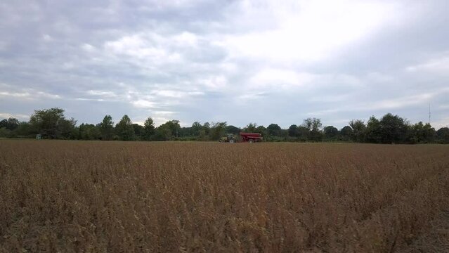 Wide Angle of Tractor driving and pulling grain bin across soybean crop field during harvest time on cloudy day