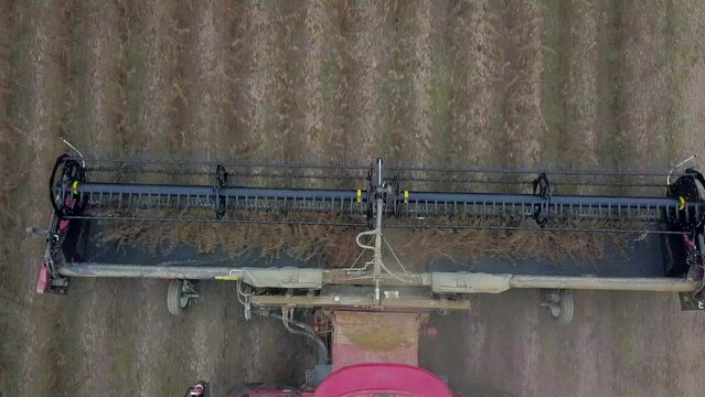 Top Down Up-close View of Combine Tractor Harvesting Soybeans On Farm Showing How a Combine Works