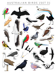 Australian Birds Set Cartoon Vector Character 3