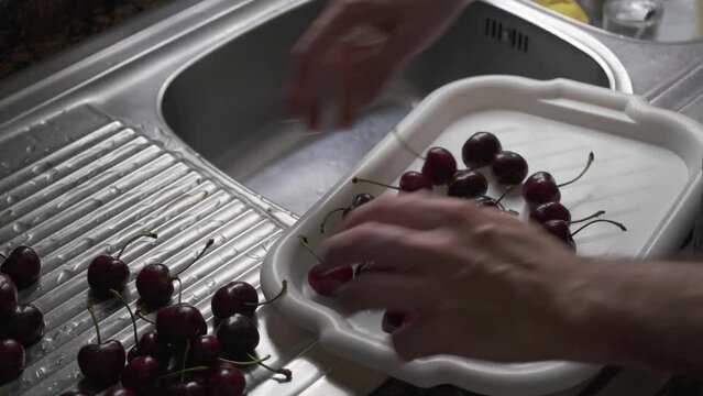 hands placing cherries on a tray

