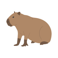capybara single 6 cute on a white background, vector illustration.