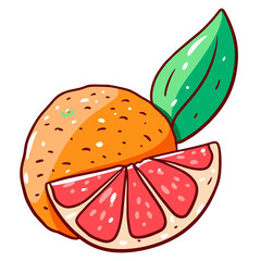 Grapefruit sign in cartoon style line art illustration