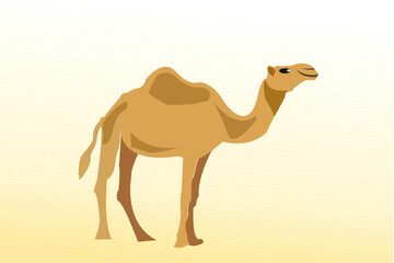 Illustration of Camel cartoon on brown  background
