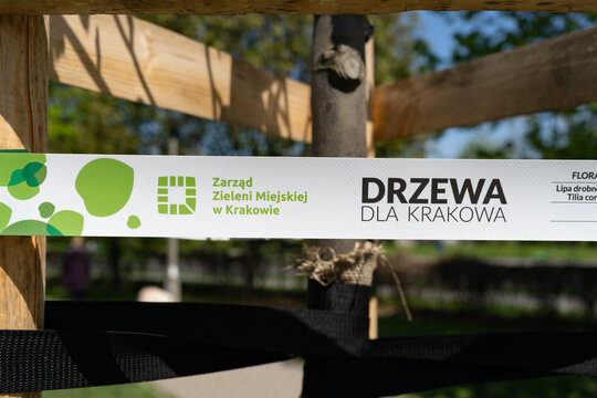 Municipal Greenery Authority in Krak&oacute;w logo sign. Tape on a newly planted tree, as part of the ecological program Trees For Cracow by ZZM Zarząd Zieleni Miejskiej on May 1, 2022 in Krakow, Poland.