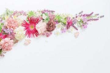 beautiful summer flowers on white background