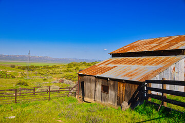 Exploring the back roads of Carrizo Plain in California