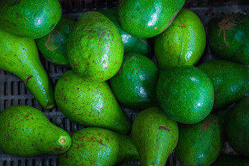 Fresh organic avocados, top view
