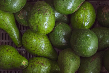 Healthy fruit avocado