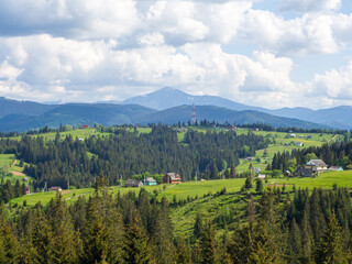 Fototapeta premium Carpathian landscape with cloudy sky. Green meadows in mountains near forest. Lifestyle in the Carpathian region. Ecology protection concept. Explore the beauty of the world.