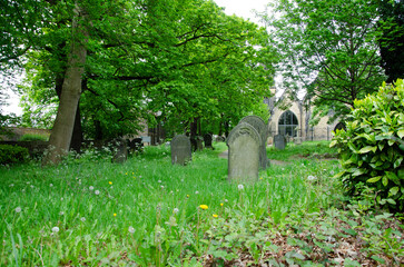 Full frame image of old cemetery
