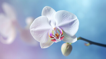 Fototapeta na wymiar Natural orchid flower background. Illustration AI Generative