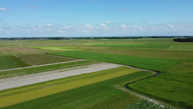 Aerial view of a big green field of a farm