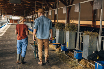 Back view of a male and female farmer walking trough a stable together.