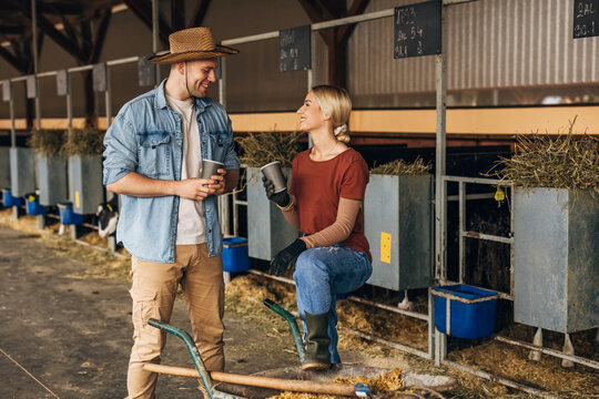 A beautiful woman and a man working together in a stable and drinking coffee.