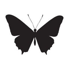 Butterfly Vector Silhouette Illustration