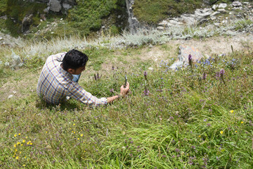 Man clicking photo of different variety of high altitude region flowers and herbs