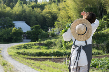 野菜を収穫している農家の女性のイメージ 後ろ姿 背景に古民家あり
