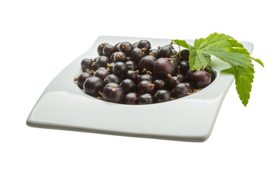 Black currant