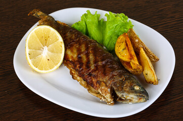 Grilled trout