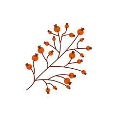 Start of fall. Cozy autumn element. Berries leaves on a white background. Warm autumn season. Vector illustration..