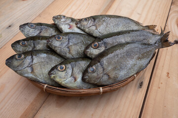 Fine spotted rabbitfish or spinefoot in Indonesian is called Bawis fish