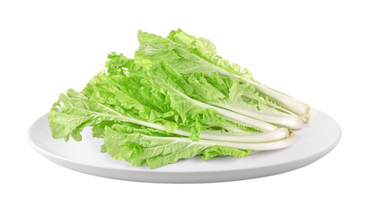 lettuce leaves in a plate isolated on transparent png