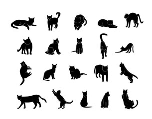 Set of cats in different poses. Cats silhouettes. Home pets. Isolated on white background