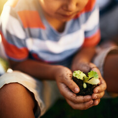 Hands of child, soil or plant in garden for sustainability, agriculture care or farming...
