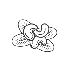 illustration of a cashew, anacardium icon, vector art.