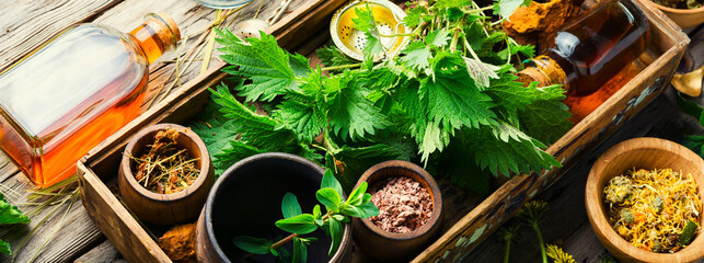 Healing herbs in herbal medicine - obrazy, fototapety, plakaty