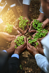 Plants, hands and group of people for gardening, agriculture or sustainable startup, teamwork and business growth. Palm, plant and women and men above for sustainability, agro project and nonprofit