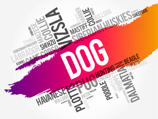 List of most popular dog breeds word cloud collage, animal concept background