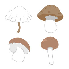 set of mushrooms 1