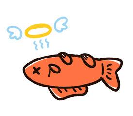 死んでしまった金魚　和金