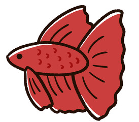 熱帯魚のベタ　赤
