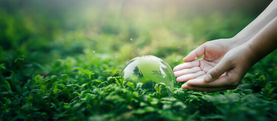 The glass globe is on a green background. Man saving the green planet, saving the earth, saving the planet. Sustainable environmental and environmental concept.