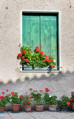 window with green shutter closed on a facade of old house with geranium flowers in pots