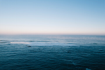 Obraz premium Pays basque côte atlantique