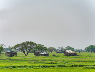 Homes at the Irrawaddy Delta in Myanmar