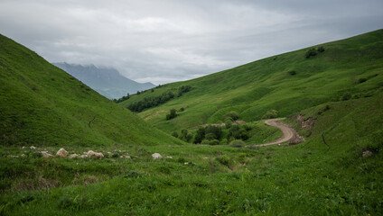 Naklejka premium Beautiful mountainous terrain on a cloudy day. Beautiful spring landscape in the mountains. Grassy field and hills. Green grass and cloudy sky.