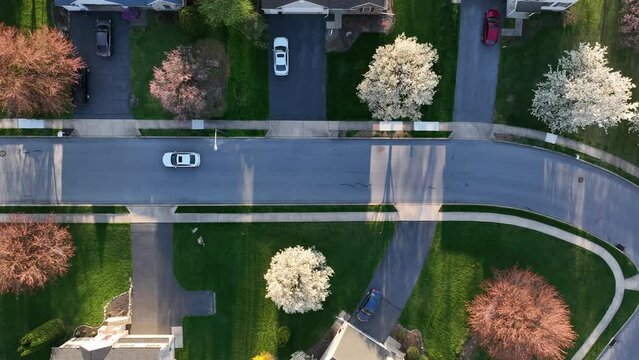 Top down aerial tracking shot of white car driving in American neighborhood during springtime. Quaint housing development with vehicle driving on street.