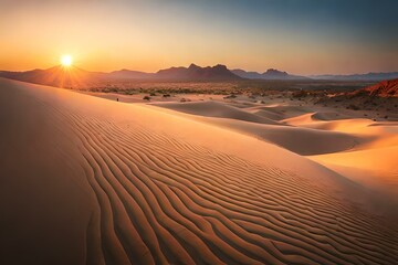 Fototapeta na wymiar sunset in the sand