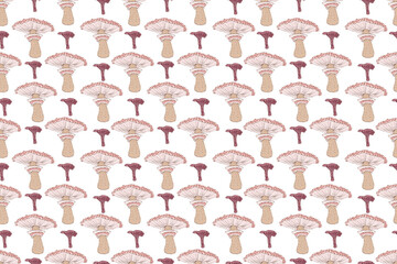 Seamless pattern of mushrooms. Hand drawing illustration in cartoon style isolated on white.